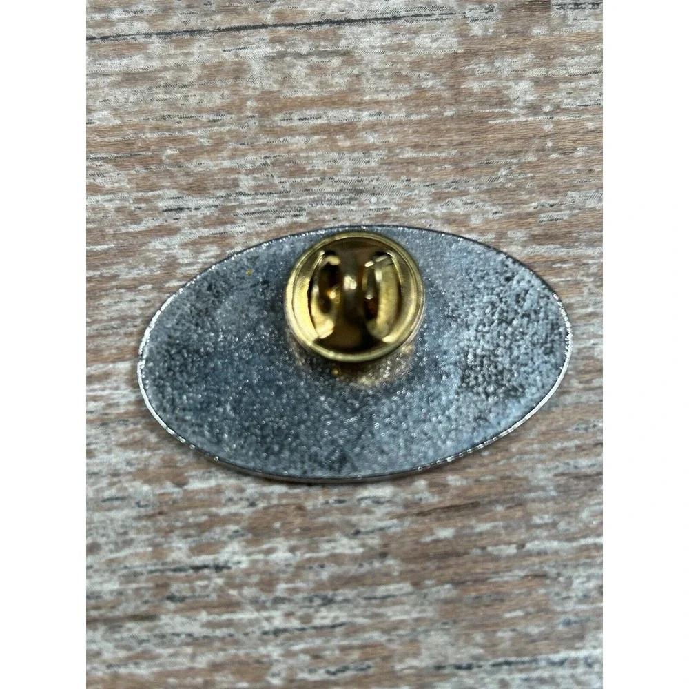 Carle Hospital Service Lapel/Hat Pin Health and hospital corporation‎ EUC